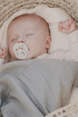 Пустышка латексная BIBS Colour - Haze