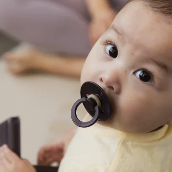 Пустышка латексная BIBS Colour - Plum