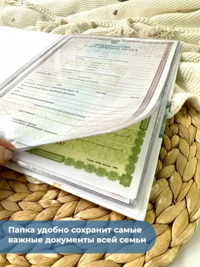 Папка на 6 файлов "Звери на шарах"