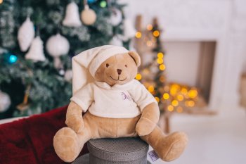 Мишки Дрёма в babyshowroom